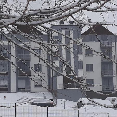 Apartament Szary Wilk Świeradów-Zdrój Екстериор снимка