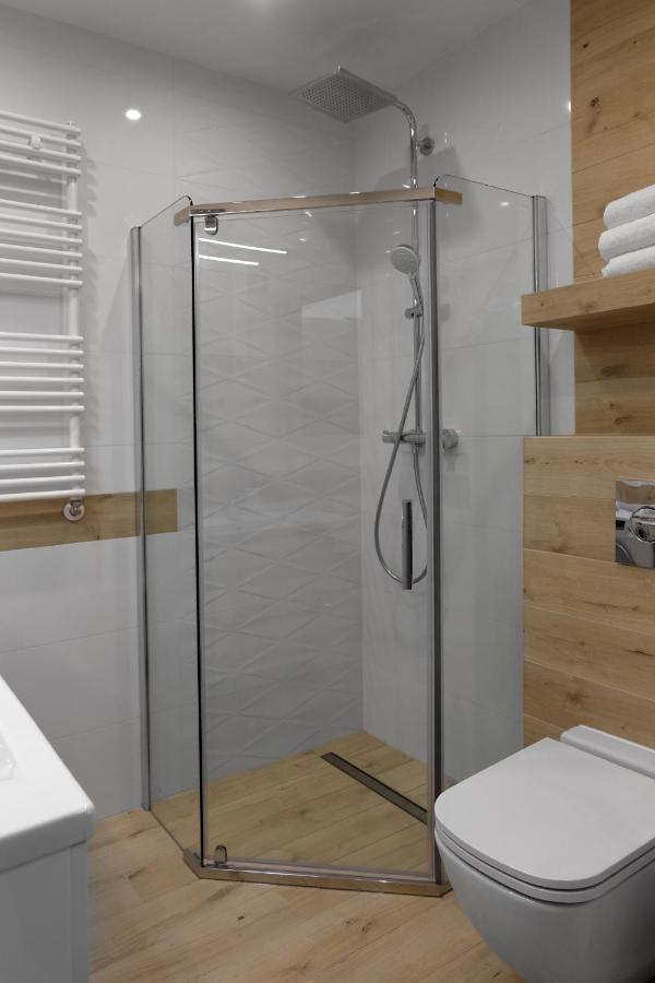 Apartament Szary Wilk Świeradów-Zdrój Екстериор снимка