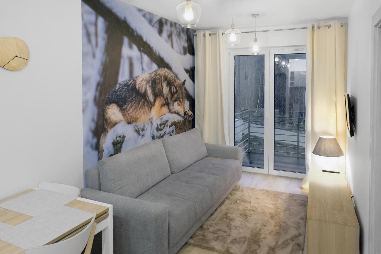 Apartament Szary Wilk Świeradów-Zdrój Екстериор снимка
