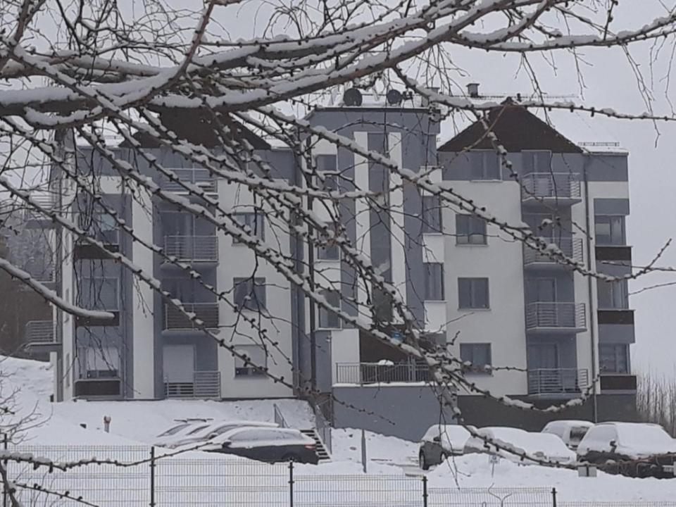 Apartament Szary Wilk Świeradów-Zdrój Екстериор снимка